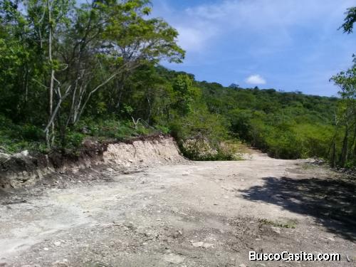 venta de 20 hetareas cerca de zona urbana de tuxtla gutierrez