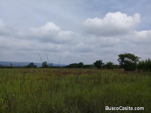 VENTA DE 03 HECTAREAS, CERCA DE NUEVO LIBRAMIENTO SUR