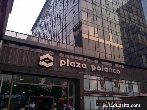 Locales comerciales en Plaza Polanco.
