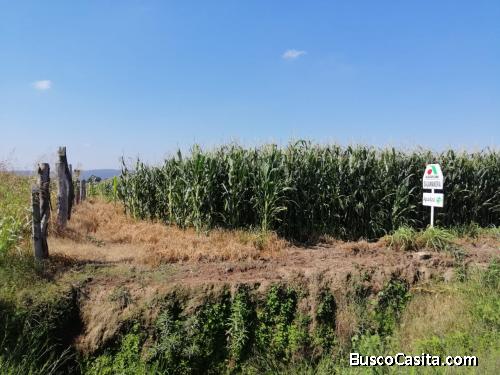 Terreno en Venta en El Ocote