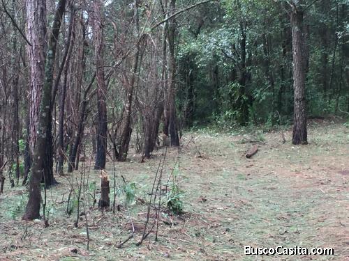 Vendo terreno en Valle de Bravo con manantiales