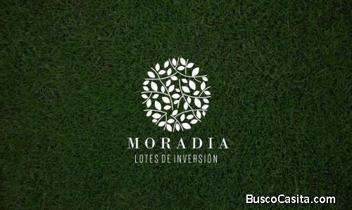 MORADIA
