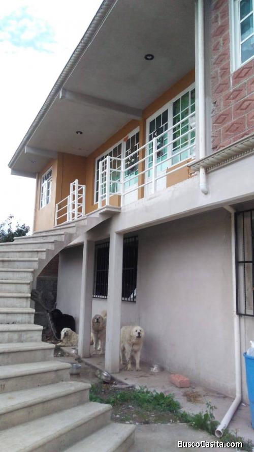 renta de bonito departamento en calle principal san diego texcoco