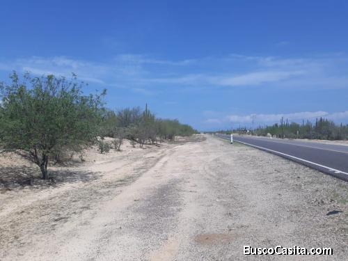 TERRENO CON FRENTE A CARRETERA EN EL SARGENTO, BCS