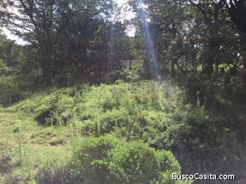 AMPLIO TERRENO EN VENTA UBICADO EN CAÑADA REAL. 