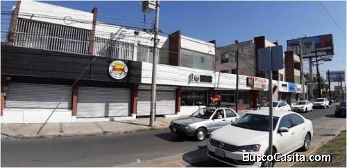 Rento Local Paseo de los Leones 1813-109 (Excelente Ubicación)