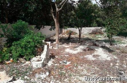 TERRENO EN JUAN PABLO II