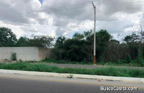 TERRENO EN LA COLONIA JUAN PABLO II