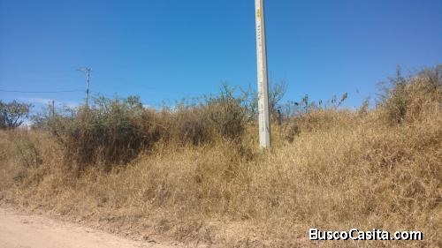 Sobre carretera Terreno 1,150 m2 en San Marcos
