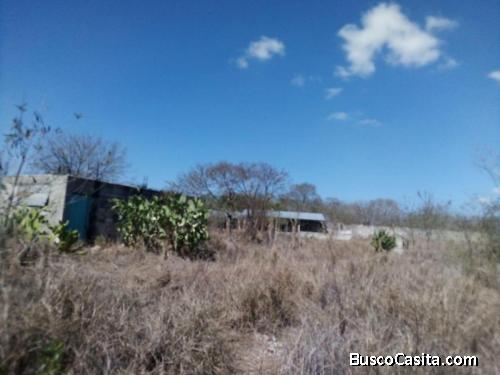 TERRENO EN VENTA EN EL CENTRO DE MERIDA 