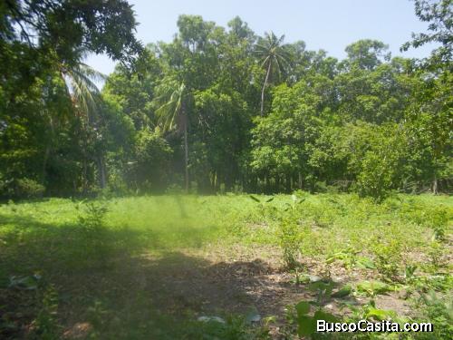 Terreno en venta Tehuantepec Oaxaca. 