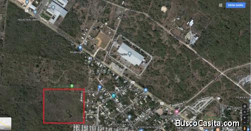 Terreno de 5.5 hectáreas en Umán