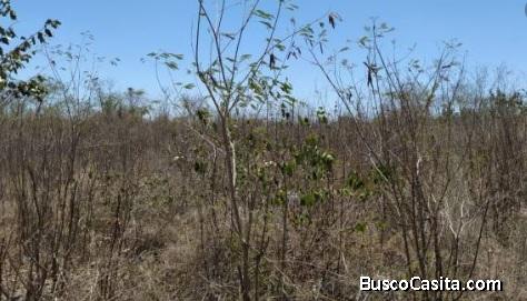 VENTA DE TERRENO EN EL CENTRO DE MERIDA
