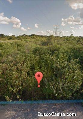 VENTA DE TERRENO UBICADO EN TEMOZON 