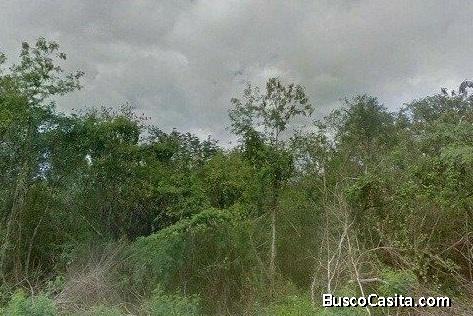 TERRENO EN VENTA EN CAMARA DE COMERCIO 