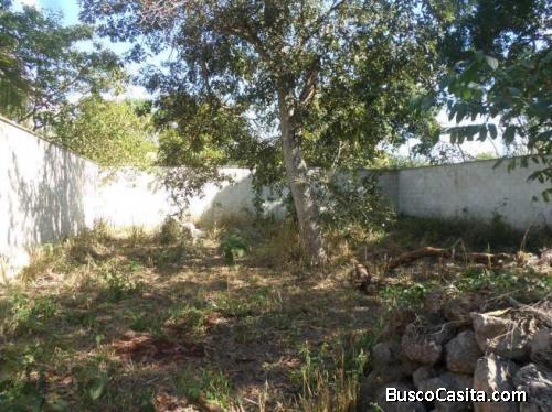 TERRENO EN VENTA EN MAXCANU