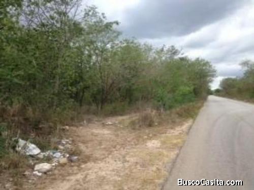 TERRENO EN VENTA UBICADO EN MAXCANU