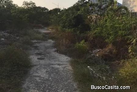 VENTA DE TERRENO UBICADO EN SAN PEDRO UXMAL 