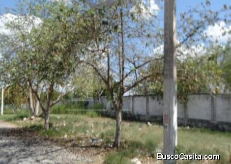 VENTA DE TERRENO EN YUCALPETEN 