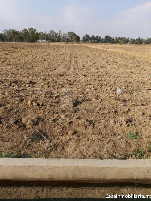 TERRENO VENTA BOYEROS 212 TEXCOCO