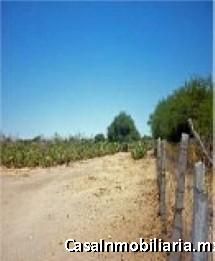 Terreno Venta Hacienda Grande, Tequisquiapan, Querétaro