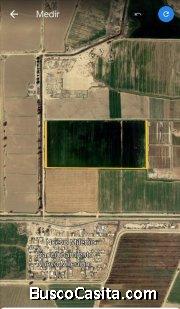 Se Vende Terreno Agricola 19 Hectares permiso de riego valle de Mexicali
