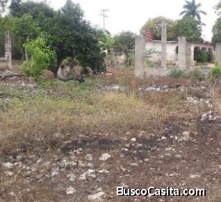 TERRENO EN VENTA UBICADO EN UMAN