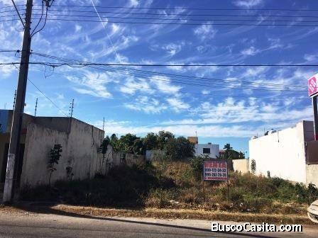 VENTA DE TERRENO EN LOS PINOS