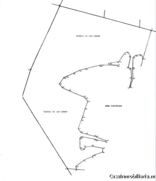 600 hectáreas, OPORTUNIDAD $250XM2, PLUSVALÍA del 35% anual. Ideal habitacional mixto e industra
