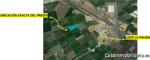 y 4.43 hectáreas OPORTUNIDAD $330XM2, PLUSVALÍA, IDEALES PARA cultivo, siembra, invernaderos, bodega