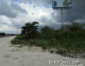 VENTA DE TERRENO UBICADO EN FRANCISCO DE MONTEJO 