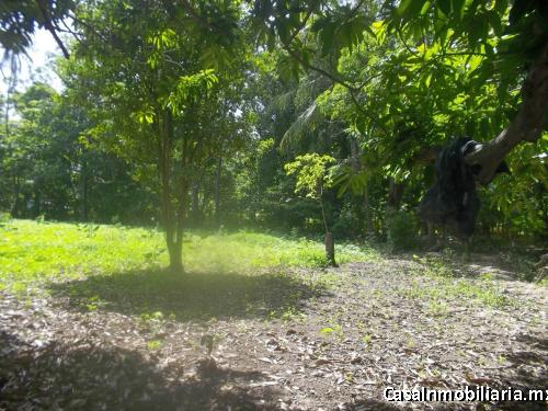 Terreno en venta Tehuantepec Oaxaca.