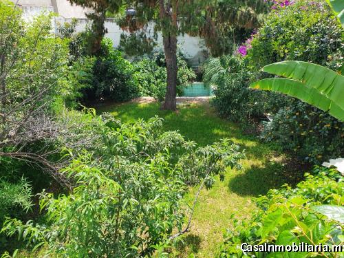 Amplia casa con excelente terreno y ubicación en Prado Churubusco