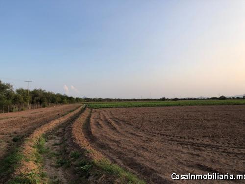 EXCELENTE TERRENO EN EL EJIDO MESA DEL SERI