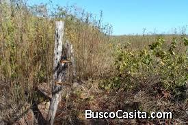 terreno en venta ubicado en tekax