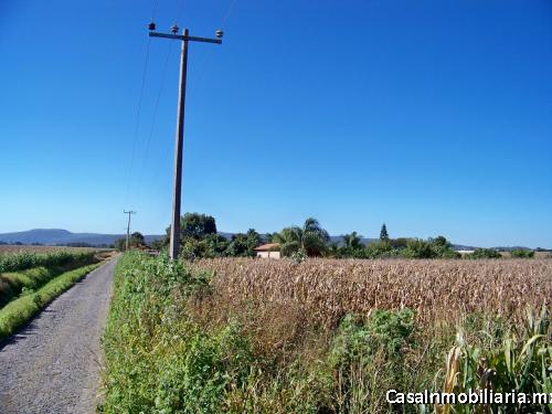 Buen Terreno para inversión o desarrollo 2 has zona Base Aérea