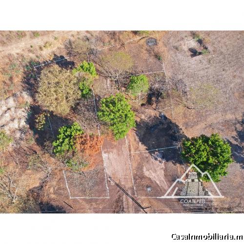 A la venta! 7 Lotes Hermosos totalmente planos y a borde de carretera