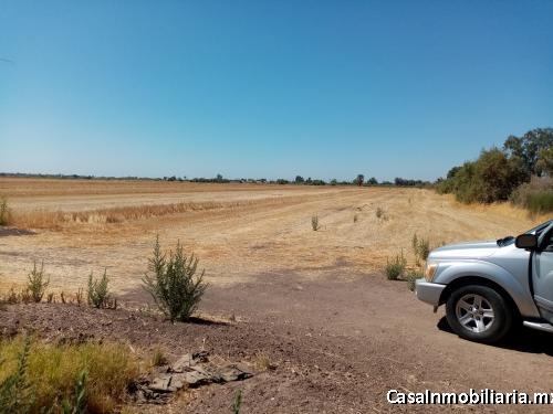 En Venta 19.5 Hectareas con permiso de riego en Colonia Abasolo