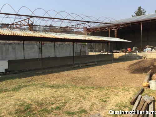 Instalación,  Bodega  ideal para ganado