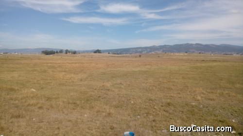 5 hectareas propiedad