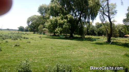 Hermoso predio arbolado