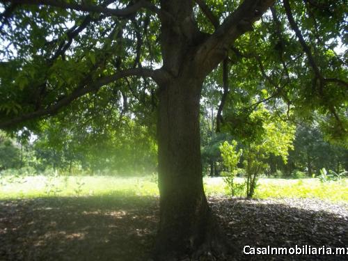 Terreno en venta Tehuantepec Oaxaca.