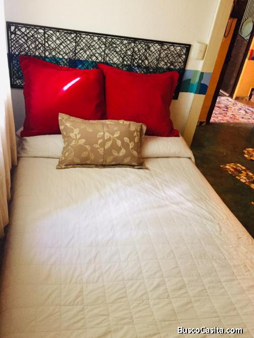 Suite amueblada al sur de la CDMX