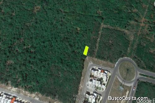 TERRENO EN VENTA EN COLONIA REAL MONTEJO