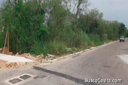 TERRENO EN VENTA EN TIXCACAL OPICHEN 