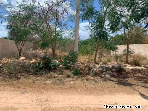TERRENO EN VENTA EN TIXCACAL OPICHEN 