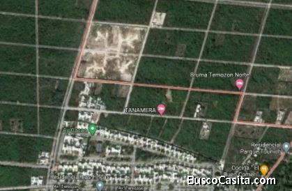 CONJUNTO DE TERRENOS EN VENTA