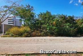 TERRENO EN VENTA EN CHOLUL