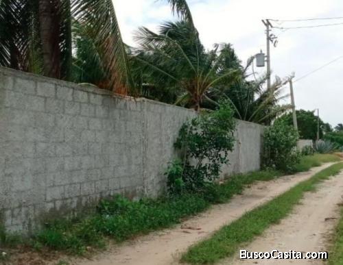 TERRENO OPORTUNIDAD EN CHELEM