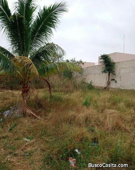 TERRENO EN VENTA EN CONKAL 